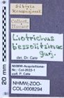 Etiketten zu Liotrichus bessolitzinae (Gurjeva, 1986) (NHMW-ZOO-COL-0008294)